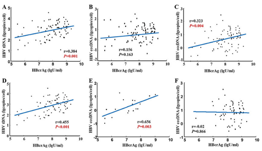 Hình 3. Sự tương quan giữa HBcrAg với HBV DNA toàn phần (HBVtDNA) huyết tương (A), với HBVcccDNA trong gan (B), với HBV cccDNA trong gan (sau khi loại bỏ ba trường hợp ngoại lệ) (C), với DNA HBV toàn phần (sau khi loại bỏ ba trường hợp ngoại lệ) (D), với HBV DNA của 7 log U/mL) (E), với HBV cccDNA trong gan (với HBV DNA là 7 log U/mL) (F) (Wang L, 2019 [12]).